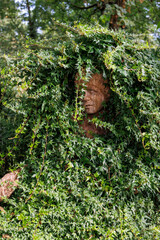 A carved wooden figure is almost completely overgrown with ivy