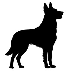 vector silhouette of a Belgian Malinois