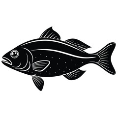 fish isolated on white background