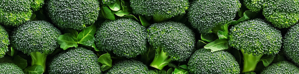Fresh broccoli seamless arranged neatly, ideal for healthy eating promotions, cooking blogs, or organic food presentations.