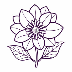 Line art of a anemone flower. Vector illustration 
