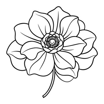 recommend clip art: Line art of a anemone flower. Vector illustration 
                    