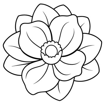 recommend clip art: Line art of a anemone flower. Vector illustration 
                    