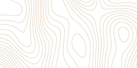 Fototapeta premium Abstract wave paper curved reliefs background .gradient multicolor wave curve lines banner background design .topographic contours map background .Vector geographic contour map. 