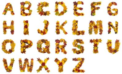 English alphabet written in golden autumn leaves