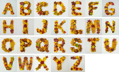 Naklejka premium English alphabet written in golden autumn leaves