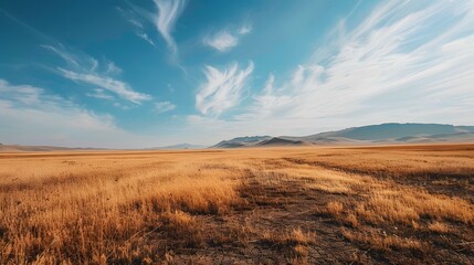 Golden Grass Field Landscape Under Blue Sky with Clouds