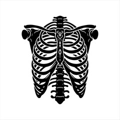 Human Rib cage vector 
