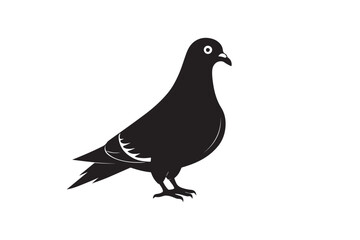 Rock Pigeon silhouette vector illustration, Rock Pigeon silhouette vector, Rock Pigeon PNG.