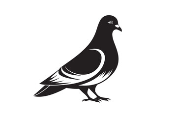Rock Pigeon silhouette vector illustration, Rock Pigeon silhouette vector, Rock Pigeon PNG.