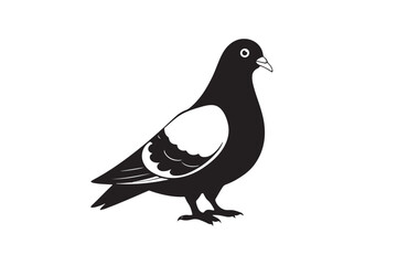 Rock Pigeon silhouette vector illustration, Rock Pigeon silhouette vector, Rock Pigeon PNG.