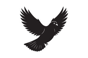 Rock Pigeon silhouette vector illustration, Rock Pigeon silhouette vector, Rock Pigeon PNG.