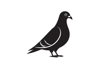 Rock Pigeon silhouette vector illustration, Rock Pigeon silhouette vector, Rock Pigeon PNG.