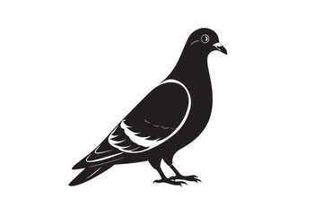 Rock Pigeon silhouette vector illustration, Rock Pigeon silhouette vector, Rock Pigeon PNG.