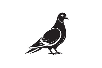 Rock Pigeon silhouette vector illustration, Rock Pigeon silhouette vector, Rock Pigeon PNG.