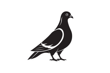 Rock Pigeon silhouette vector illustration, Rock Pigeon silhouette vector, Rock Pigeon PNG.