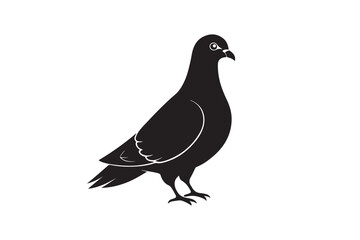 Rock Pigeon silhouette vector illustration, Rock Pigeon silhouette vector, Rock Pigeon PNG.