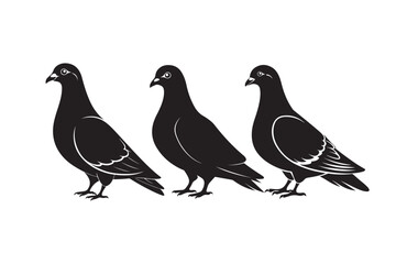 Rock Pigeon silhouette vector illustration, Rock Pigeon silhouette vector, Rock Pigeon PNG.