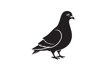 Rock Pigeon silhouette vector illustration, Rock Pigeon silhouette vector, Rock Pigeon PNG.