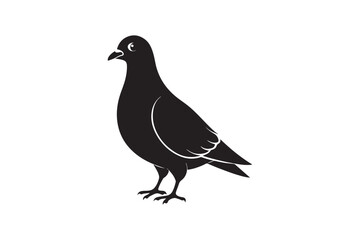 Rock Pigeon silhouette vector illustration, Rock Pigeon silhouette vector, Rock Pigeon PNG.