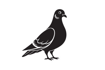 Rock Pigeon silhouette vector illustration, Rock Pigeon silhouette vector, Rock Pigeon PNG.