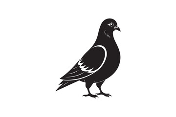 Rock Pigeon silhouette vector illustration, Rock Pigeon silhouette vector, Rock Pigeon PNG.