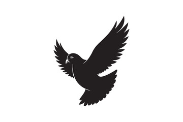 Rock Pigeon silhouette vector illustration, Rock Pigeon silhouette vector, Rock Pigeon PNG.