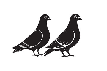 Rock Pigeon silhouette vector illustration, Rock Pigeon silhouette vector, Rock Pigeon PNG.