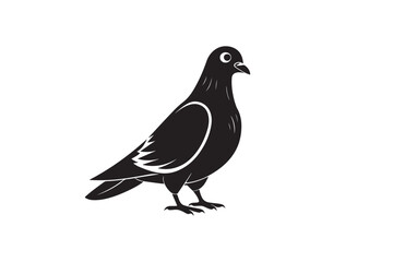 Rock Pigeon silhouette vector illustration, Rock Pigeon silhouette vector, Rock Pigeon PNG.