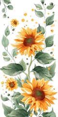 Yellow Sunflowers on White Background