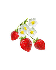 Strawberries with Flowers Vector