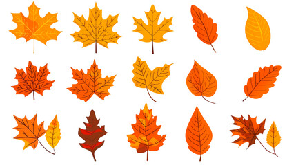 Naklejka premium Autumn leaves illustration for Thanksgiving festival, PNG file, isolated on white, transparent background.