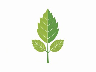 A leafy green plant with a stem