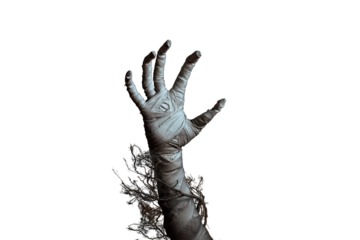 Mummy's hand wrapped in a bandage creepily moving on isolated background. The hand of the mummy monster for Halloween horror concept