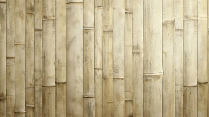 Bamboo Wall Texture