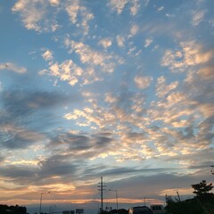 sunset over the city