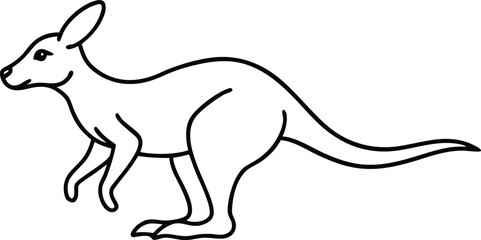 kangaroo illustration