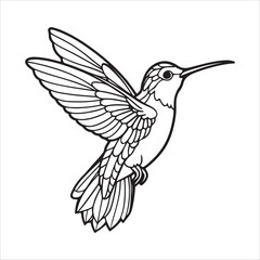 Obraz premium Humming bird Vector Art Illustration