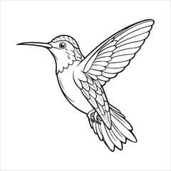 Obraz premium Humming bird Vector Art Illustration