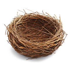 Obraz premium Empty Nest Isolated