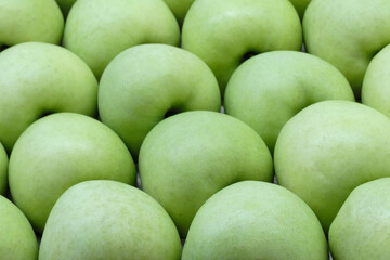 A bunch of green apples are lined up in a row. The apples are all the same size and shape, and they are all green