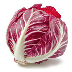 Radicchio Isolated