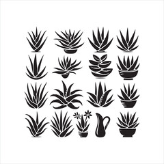 Aloe vera icon silhouette on white background
