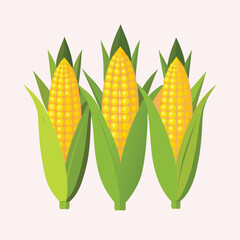 orn hand drawn vector illustration set. Isolated Vegetable engraved style object