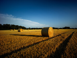Fields of Circular Hay Bales in the Suffolk Countryside