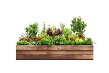 Rooftop garden with edible plants, green roof concept, on solid white background,Isolated on transparent background