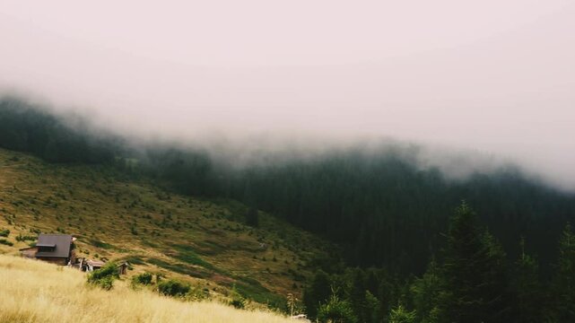 landscape polony in the fog, forest and mountains in the clouds, autumn colors, green and yellow tones, burnt grass, beauty of nature, poster, postcard, screen saver, wallpaper polony Yavirnyk, Carpat