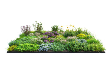 Vegetated green roof with flowering plants, sustainable urban design, ,Isolated on transparent background