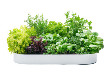 Fototapeta premium Wallmounted vertical garden system, modular and scalable, ecoconscious design, on solid white background, single object.,,Isolated on transparent background