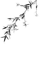 Bamboo Leaves Silhouette on Isolated wall background, Black Shadows of olive leaf. For decoration card.